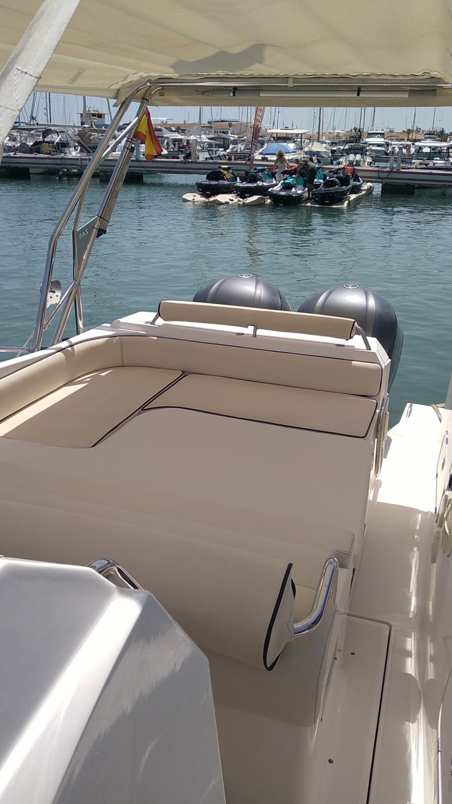 Guests relaxing on rear seating